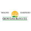 MOLINO-HARINERO-LOMA-BLANCA